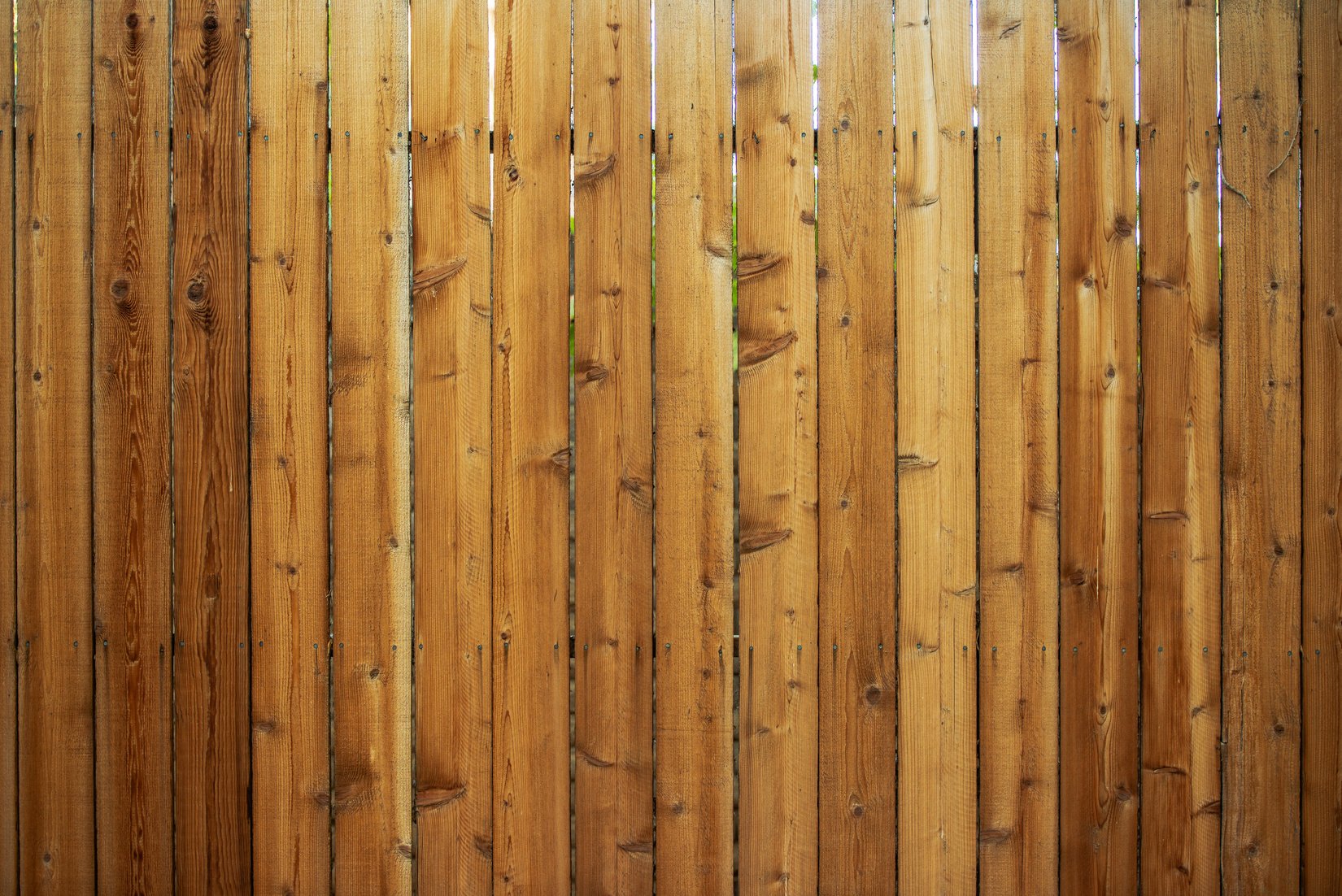 Wood Fence Backdrop